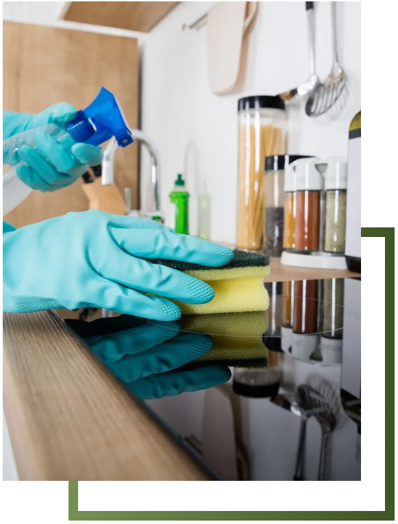 wide range of residential cleaning services and specialties